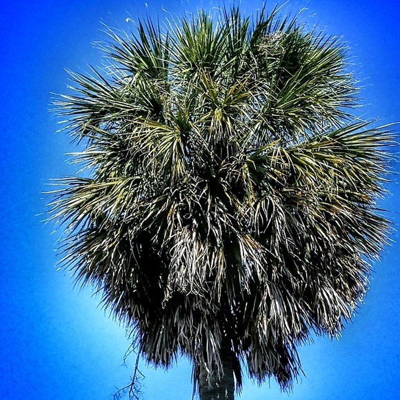 Meet your Posher, Kathy - Picture 1 of 1